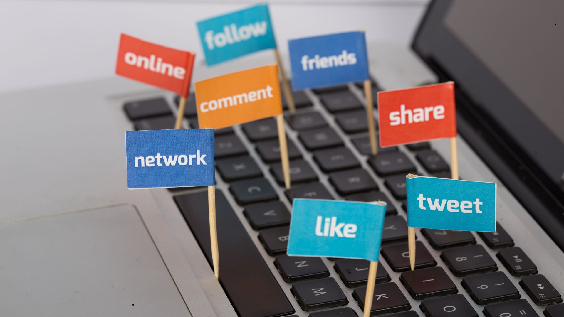 Confirmation Bias in Social Media & AI